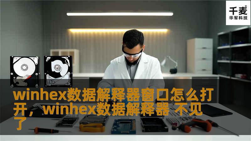winhex数据解释器窗口怎么打开,winhex数据解释器 不见了 winhex数据解释器窗口怎么打开,winhex数据解释器 不见了
