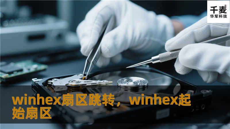 winhex扇区跳转,winhex起始扇区 winhex扇区跳转,winhex起始扇区