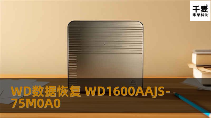 WD数据恢复 WD1600AAJS-75M0A0