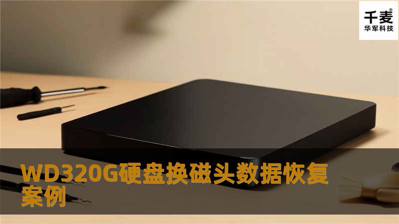 WD320G硬盘换磁头数据恢复案例