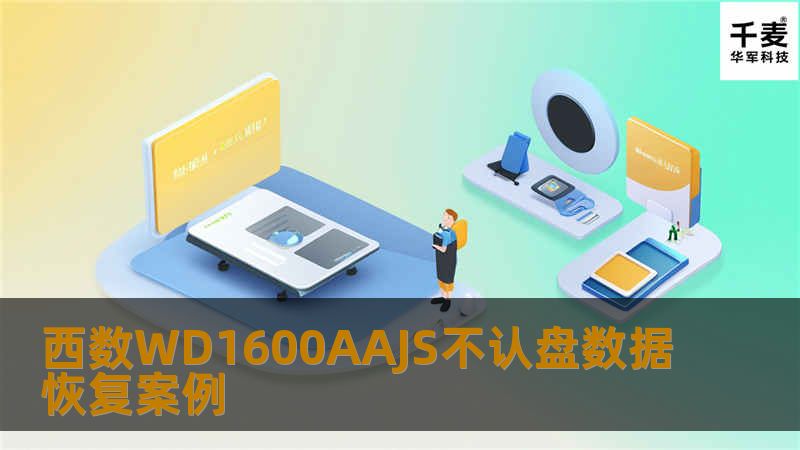 西数WD1600AAJS不认盘数据恢复案例