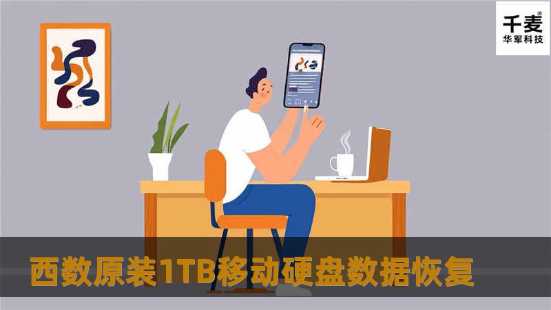 西数原装1TB移动硬盘数据恢复