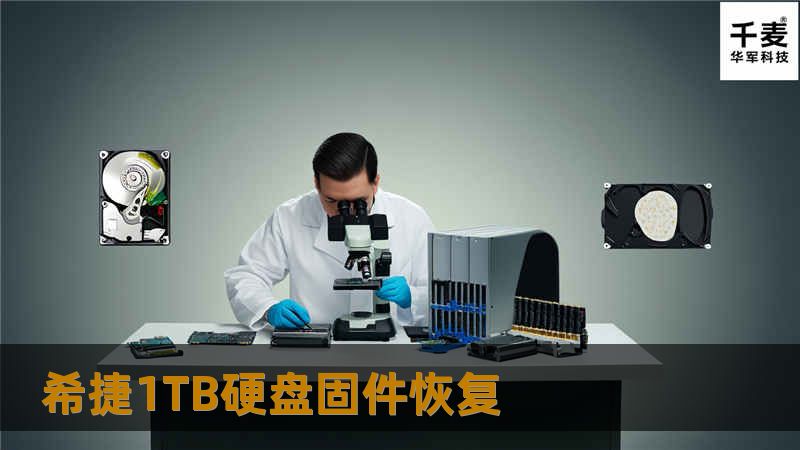 希捷1TB硬盘固件恢复