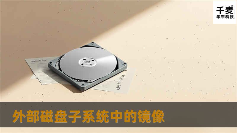 外部磁盘子系统中的镜像 外部磁盘子系统中的镜像