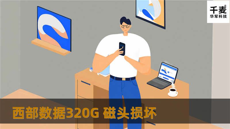 西部数据320G 磁头损坏