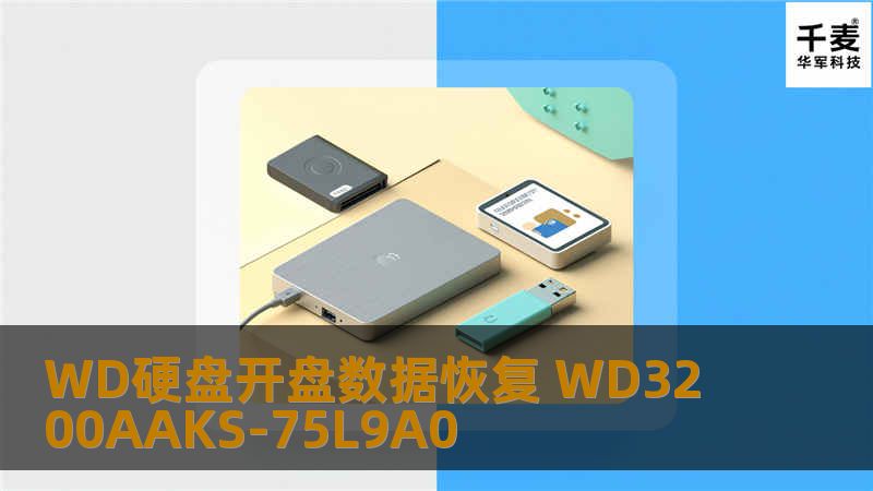 WD硬盘开盘数据恢复 WD3200AAKS-75L9A0