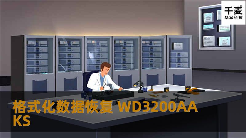 格式化数据恢复 WD3200AAKS