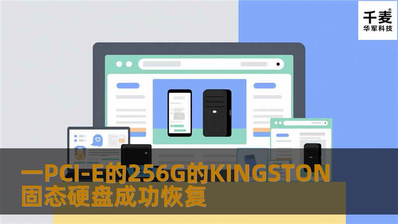 一PCI-E的256G的KINGSTON固态硬盘成功恢复