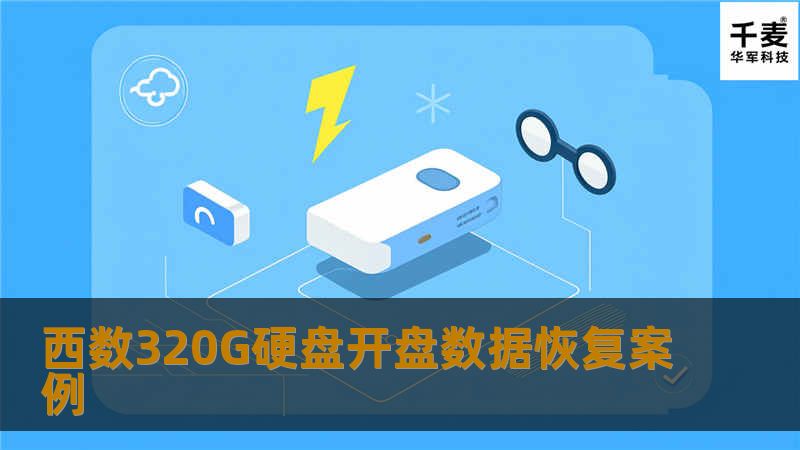 西数320G硬盘开盘数据恢复案例