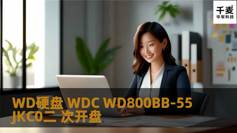 WD硬盘 WDC WD800BB-55JKC0二 次开盘