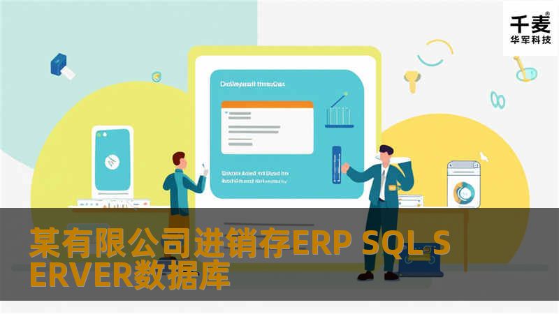 某有限公司进销存ERP SQL SERVER数据库