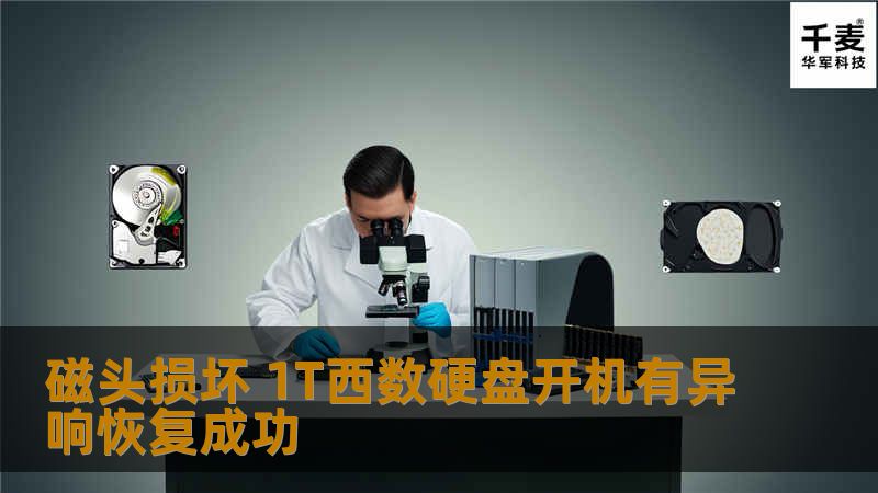 磁头损坏 1T西数硬盘开机有异响恢复成功