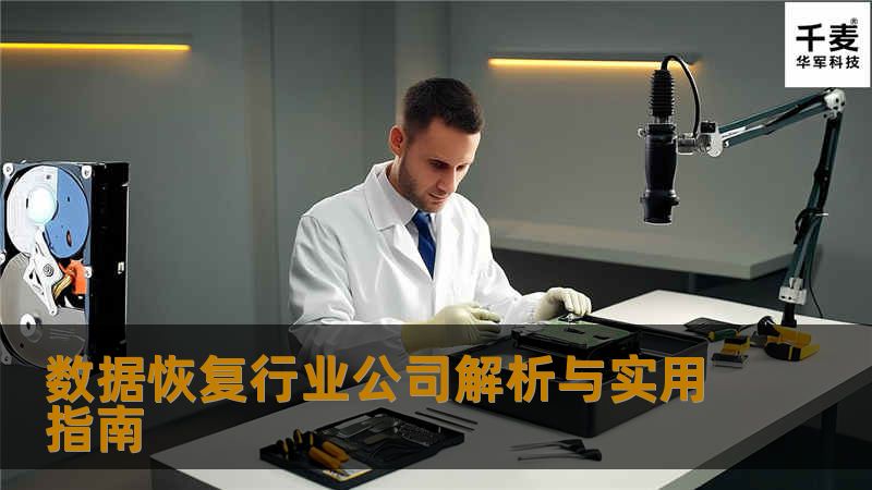 数据恢复行业公司解析与实用指南 数据恢复行业公司解析与实用指南