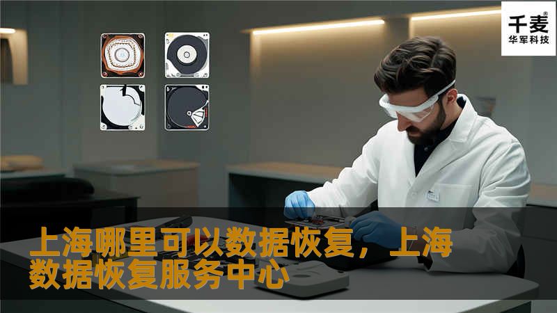 上海哪里可以数据恢复,上海数据恢复服务中心 上海哪里可以数据恢复,上海数据恢复服务中心