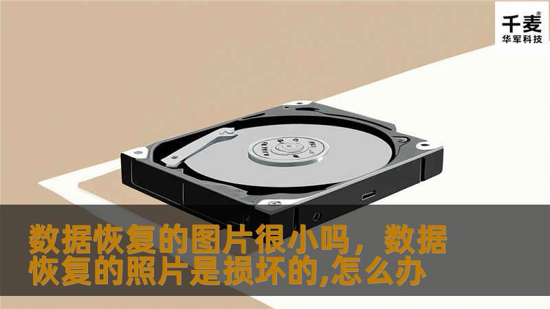 数据恢复的图片很小吗,数据恢复的照片是损坏的,怎么办 数据恢复的图片很小吗,数据恢复的照片是损坏的,怎么办