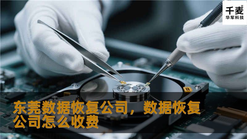 东莞数据恢复公司,数据恢复公司怎么收费 东莞数据恢复公司,数据恢复公司怎么收费