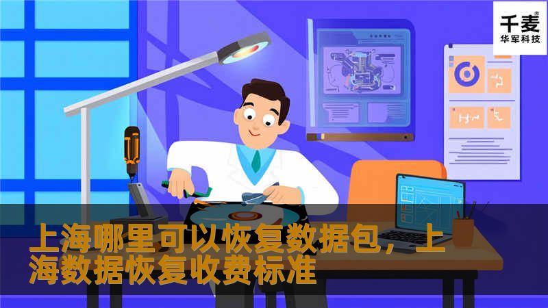 上海哪里可以恢复数据包,上海数据恢复收费标准 上海哪里可以恢复数据包,上海数据恢复收费标准