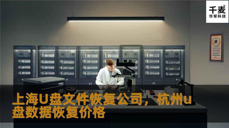 上海U盘文件恢复公司,杭州u盘数据恢复价格 上海U盘文件恢复公司,杭州u盘数据恢复价格