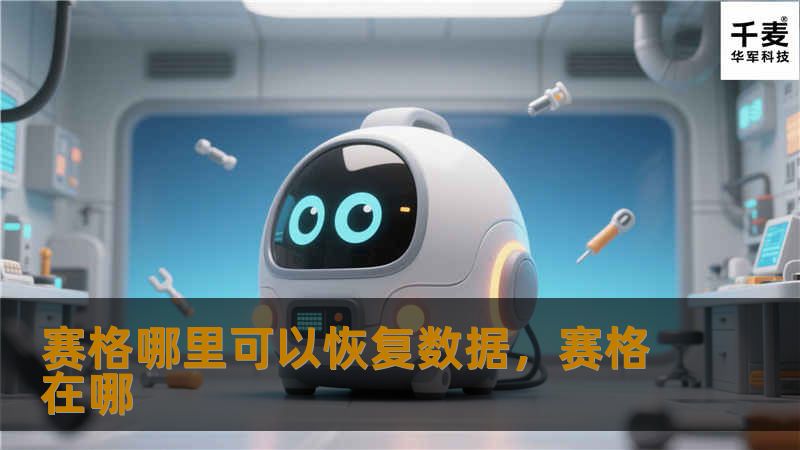 赛格哪里可以恢复数据,赛格在哪 赛格哪里可以恢复数据,赛格在哪