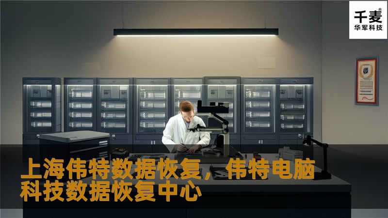上海伟特数据恢复,伟特电脑科技数据恢复中心 上海伟特数据恢复,伟特电脑科技数据恢复中心