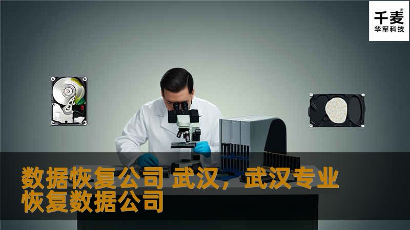 数据恢复公司 武汉,武汉专业恢复数据公司 数据恢复公司 武汉,武汉专业恢复数据公司