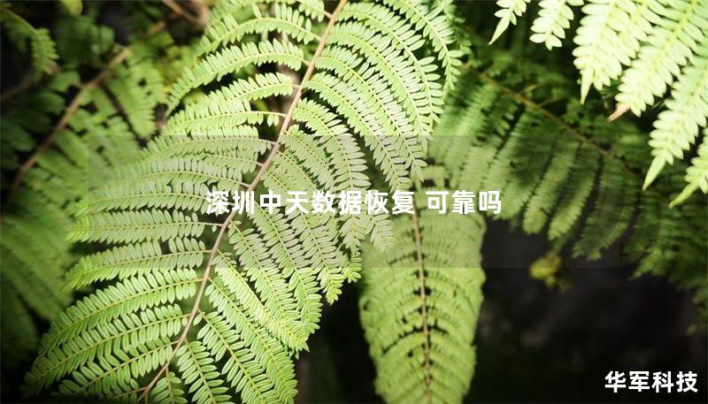 深圳中天数据恢复 可靠吗 深圳中天数据恢复 可靠吗