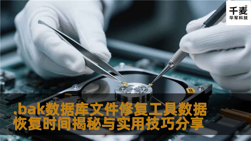 .bak数据库文件修复工具数据恢复时间揭秘与实用技巧分享 .bak数据库文件修复工具数据恢复时间揭秘与实用技巧分享