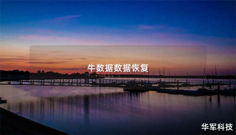 牛数据数据恢复 牛数据数据恢复
