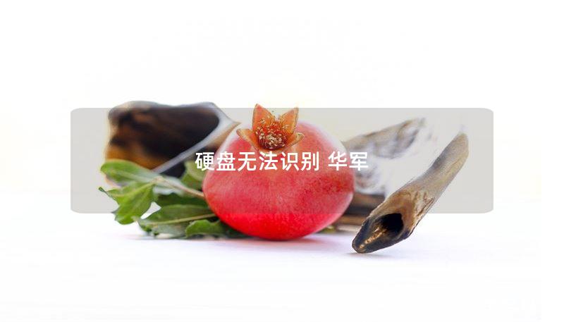 硬盘无法识别 技王 硬盘无法识别 技王