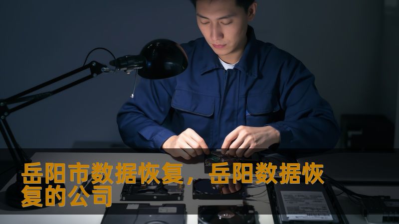 岳阳市数据恢复，岳阳数据恢复的公司