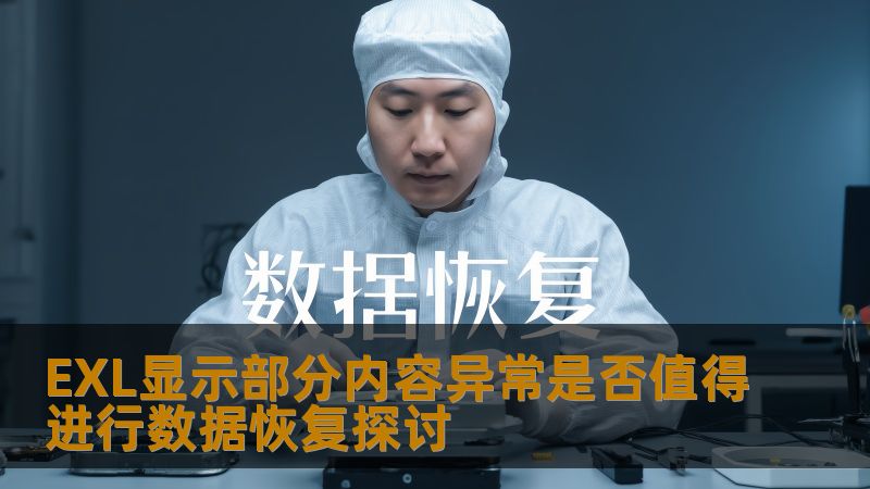 EXL显示部分内容异常是否值得进行数据恢复探讨