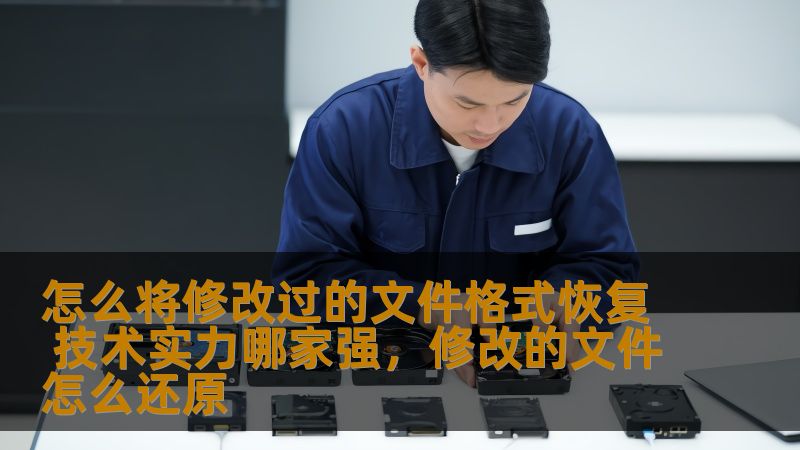 怎么将修改过的文件格式恢复 技术实力哪家强，修改的文件怎么还原