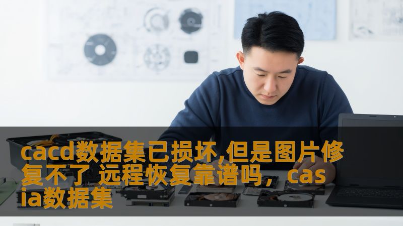 cacd数据集已损坏,但是图片修复不了 远程恢复靠谱吗,casia数据集 cacd数据集已损坏,但是图片修复不了 远程恢复靠谱吗,casia数据集