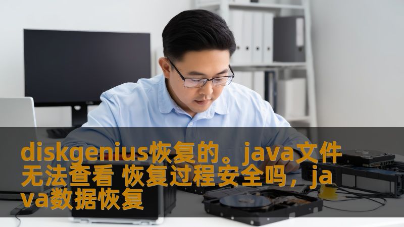 diskgenius恢复的。java文件无法查看 恢复过程安全吗，java数据恢复