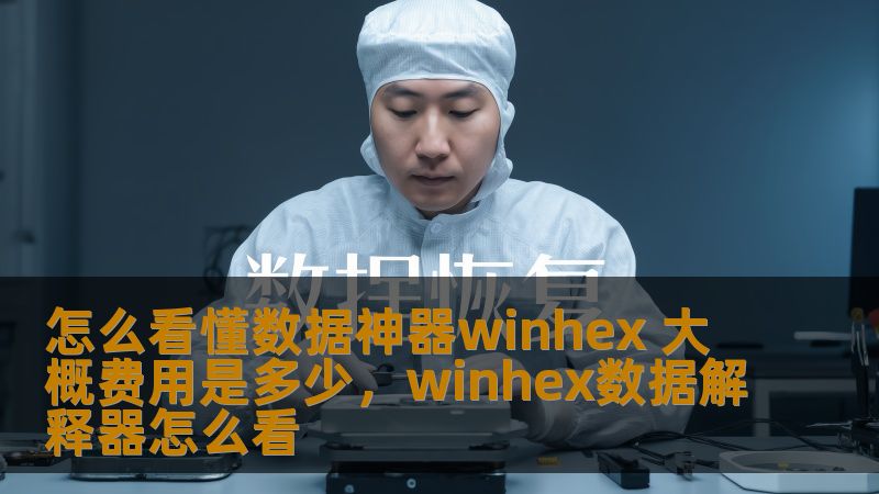怎么看懂数据神器winhex 大概费用是多少，winhex数据解释器怎么看