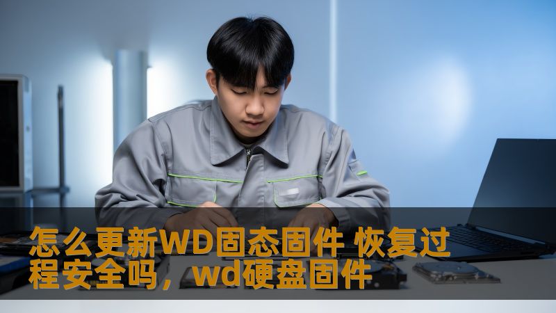 怎么更新WD固态固件 恢复过程安全吗,wd硬盘固件 怎么更新WD固态固件 恢复过程安全吗,wd硬盘固件