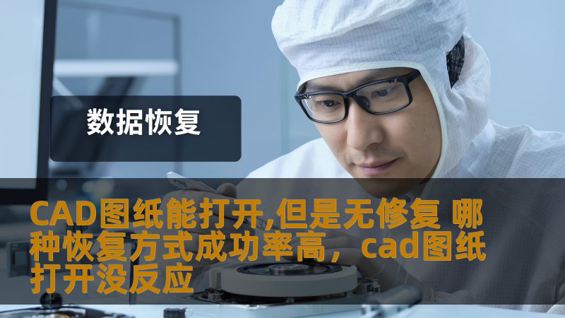 CAD图纸能打开,但是无修复 哪种恢复方式成功率高，cad图纸打开没反应