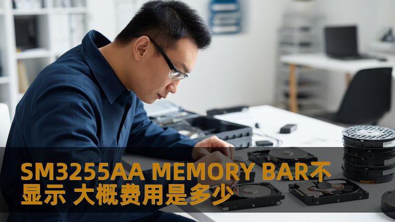 SM3255AA MEMORY BAR不显示 大概费用是多少 SM3255AA MEMORY BAR不显示 大概费用是多少