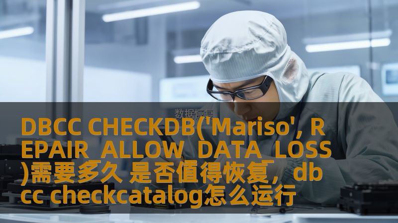 DBCC CHECKDB('Mariso', REPAIR_ALLOW_DATA_LOSS)需要多久 是否值得恢复，dbcc checkcatalog怎么运行