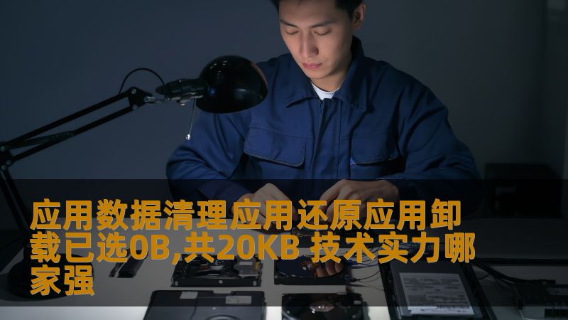 应用数据清理应用还原应用卸载已选0B,共20KB 技术实力哪家强