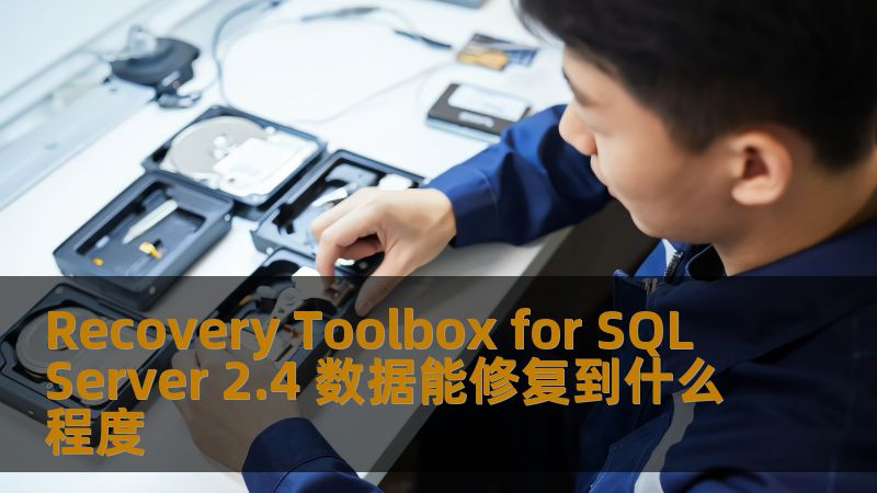 Recovery Toolbox for SQL Server 2.4 数据能修复到什么程度