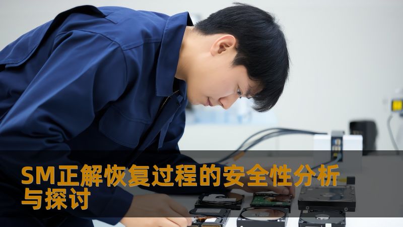 SM正解恢复过程的安全性分析与探讨 SM正解恢复过程的安全性分析与探讨