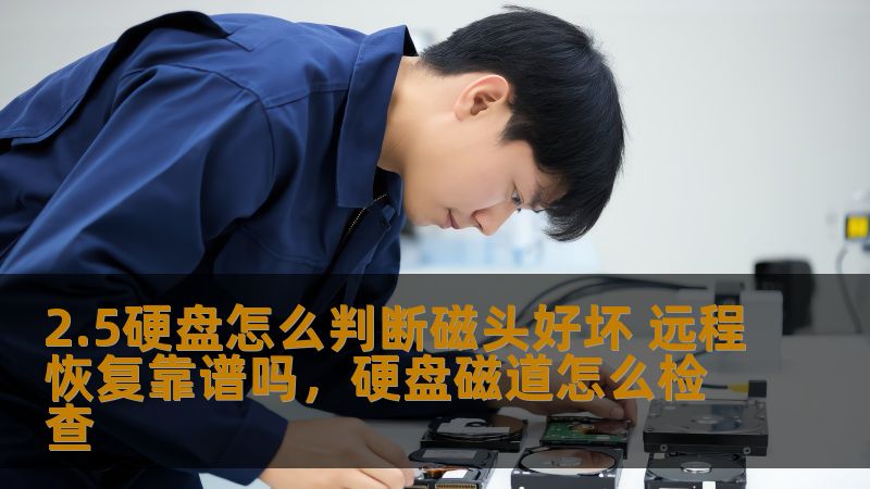 2.5硬盘怎么判断磁头好坏 远程恢复靠谱吗，硬盘磁道怎么检查