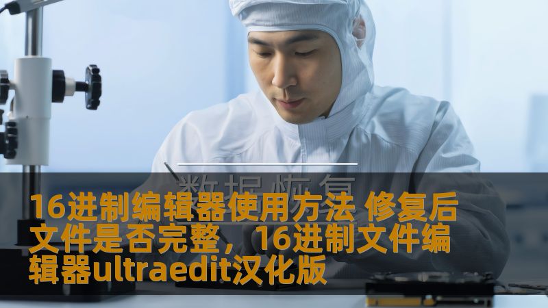 16进制编辑器使用方法 修复后文件是否完整，16进制文件编辑器ultraedit汉化版