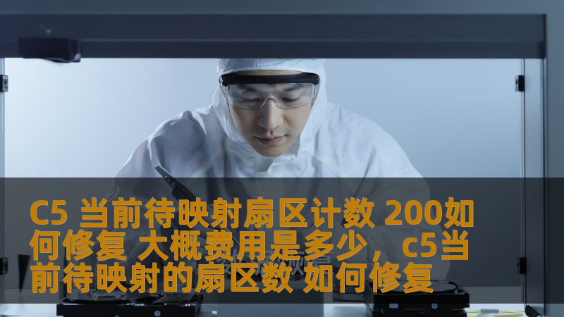 C5 当前待映射扇区计数 200如何修复 大概费用是多少，c5当前待映射的扇区数 如何修复