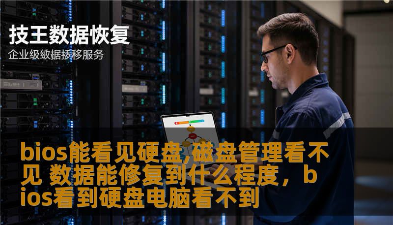bios能看见硬盘,磁盘管理看不见 数据能修复到什么程度，bios看到硬盘电脑看不到
