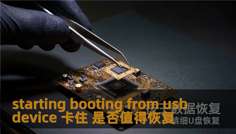 starting booting from usb device 卡住 是否值得恢复
