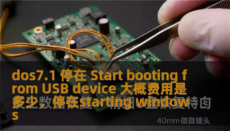 dos7.1 停在 Start booting from USB device 大概费用是多少,停在starting windows dos7.1 停在 Start booting from USB device 大概费用是多少,停在starting windows