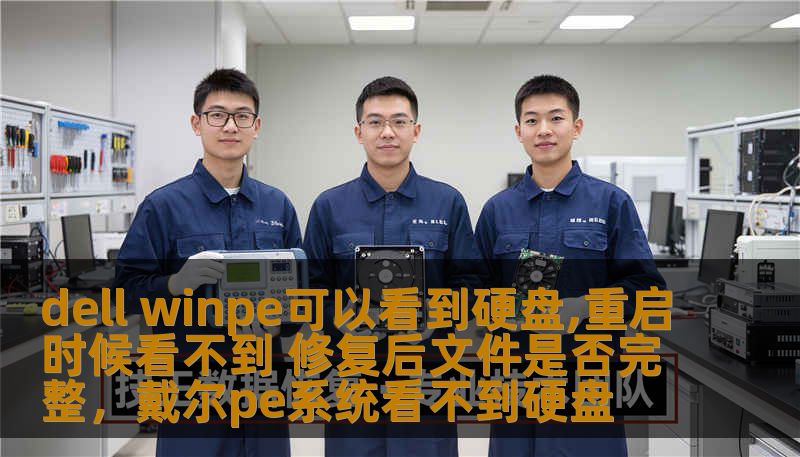 dell winpe可以看到硬盘,重启时候看不到 修复后文件是否完整,戴尔pe系统看不到硬盘 dell winpe可以看到硬盘,重启时候看不到 修复后文件是否完整,戴尔pe系统看不到硬盘