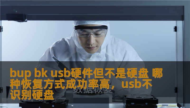 bup bk usb硬件但不是硬盘 哪种恢复方式成功率高，usb不识别硬盘